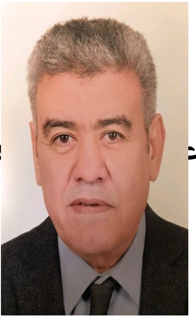 Mohamed Abdel-Hamed Mohamed Ahmed